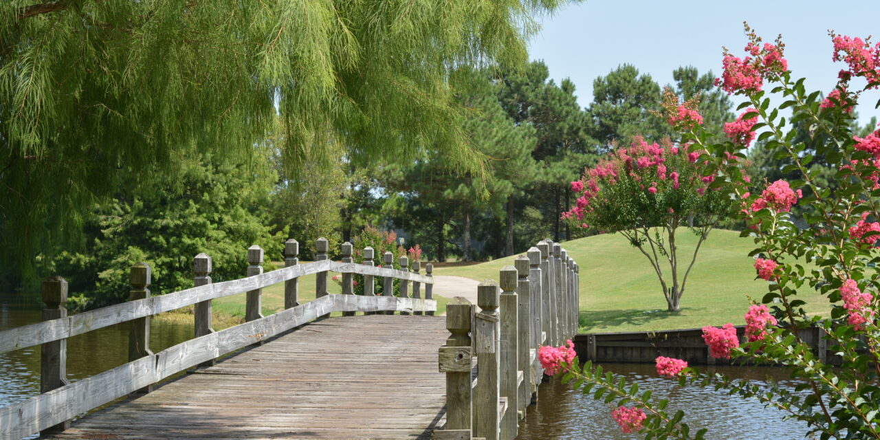 Crow Creek Golf Club: A Polished Gem at the Northern Edge of the Strand
