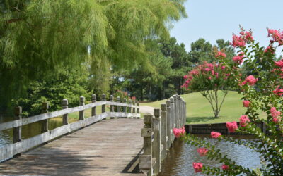 Crow Creek Golf Club: A Polished Gem at the Northern Edge of the Strand