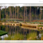 Lion’s Paw Golf Links: The Roaring Original of Ocean Ridge Plantation