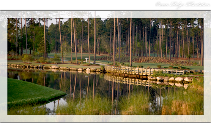 Lion’s Paw Golf Links: The Roaring Original of Ocean Ridge Plantation