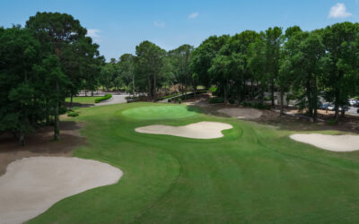 Sea Trail Maples Course: A Timeless Shotmaker’s Test Along the Carolina Coast