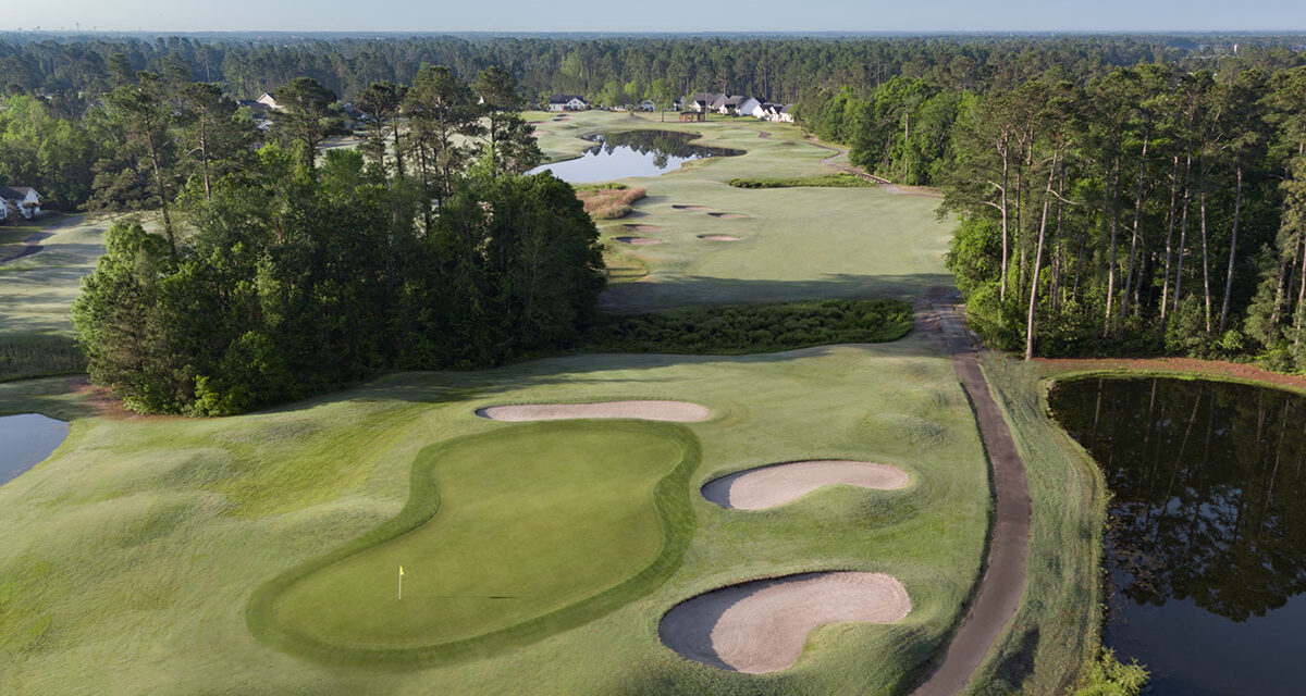 Hummingbird at Wild Wing: A Relaxed Nine with Classic Carolina Charm