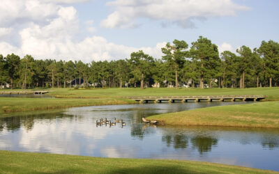 Planning a Myrtle Beach Golf Vacation for Groups: Your Complete Guide