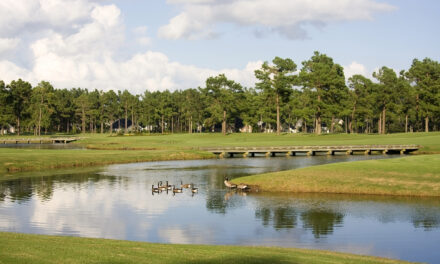 Planning a Myrtle Beach Golf Vacation for Groups: Your Complete Guide
