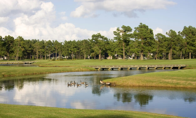 Planning a Myrtle Beach Golf Vacation for Groups: Your Complete Guide