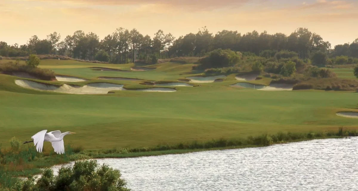 Barefoot Fazio Course: Strategic Perfection in the Heart of Barefoot Resort
