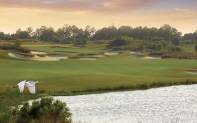Barefoot Fazio Course: Strategic Perfection in the Heart of Barefoot Resort