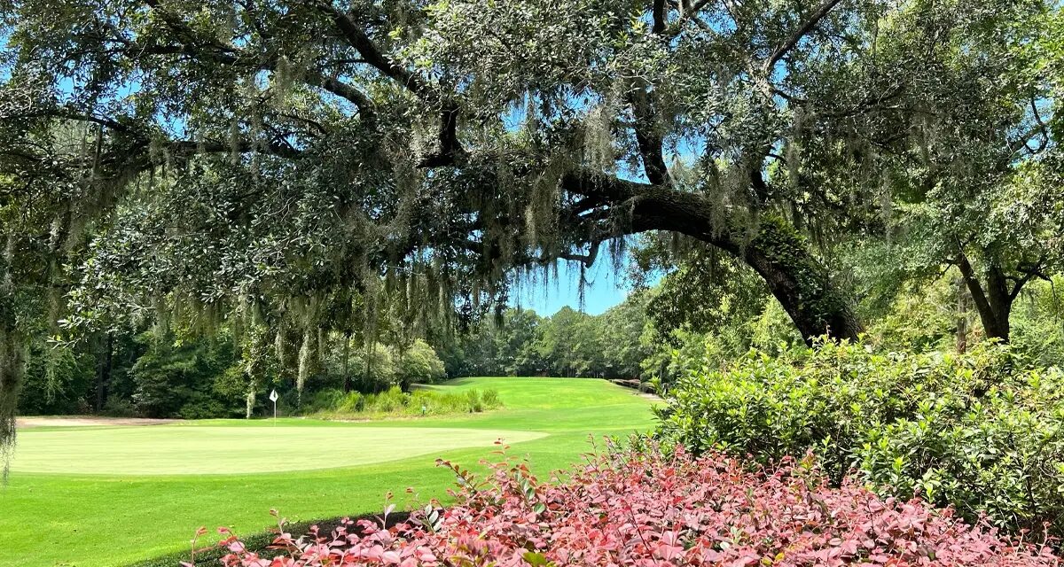 Tradition Golf Club: Timeless Lowcountry Elegance