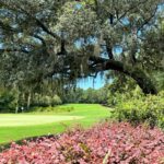 Tradition Golf Club: Timeless Lowcountry Elegance