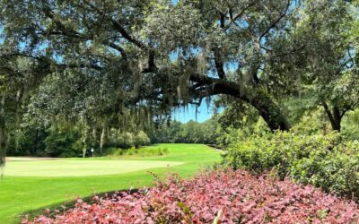 Tradition Golf Club: Timeless Lowcountry Elegance