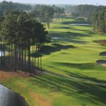 Avocet at Wild Wing Plantation: Creative Design Meets Championship Play