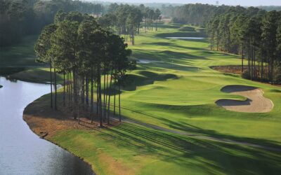 Avocet at Wild Wing Plantation: Creative Design Meets Championship Play